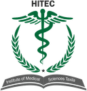 HMIS Logo